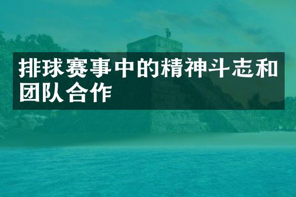 排球赛事中的精神斗志和团队合作