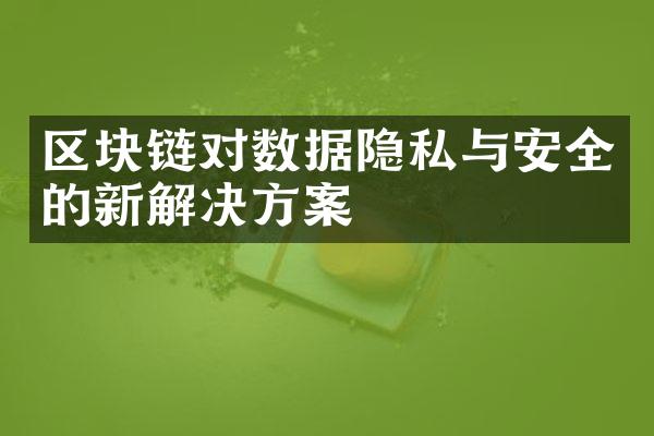 区块链对数据隐私与安全的新解决方案