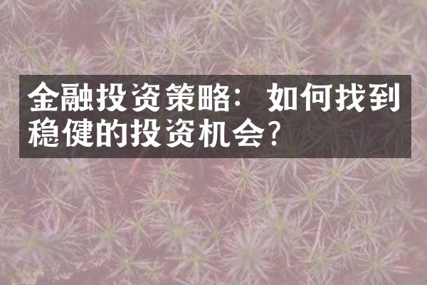 金融投资策略：如何找到稳健的投资机会？