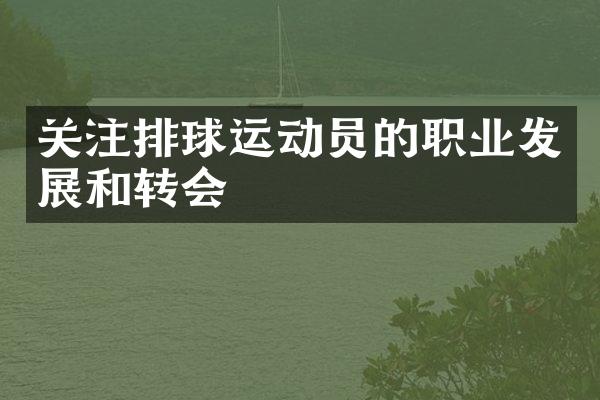 关注排球运动员的职业发展和转会