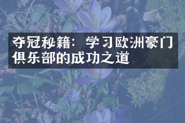 夺冠秘籍：学欧洲豪门俱乐的成功之道