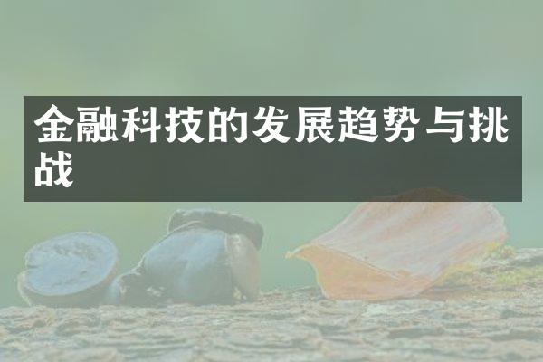 金融科技的发展趋势与挑战