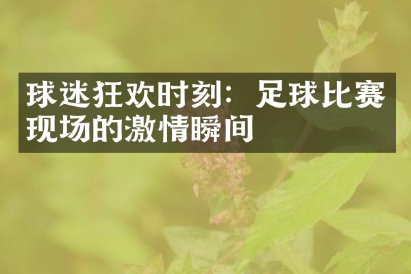 球迷狂欢时刻：足球比赛现场的激情瞬间