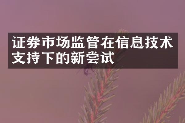 证券市场监管在信息技术支持下的新尝试