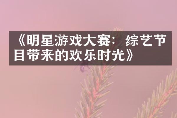 《明星游戏大赛：综艺节目带来的欢乐时光》