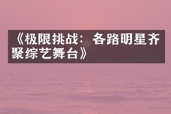 《极限挑战：各路明星齐聚综艺舞台》