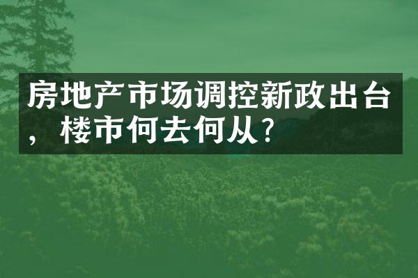 房地产市场调控新政出台，楼市何去何从？