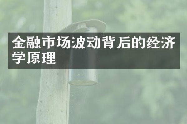 金融市场波动背后的经济学原理