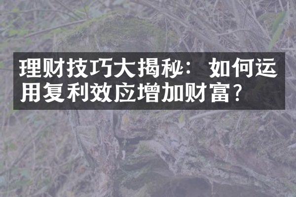 理财技巧大揭秘：如何运用复利效应增加财富？