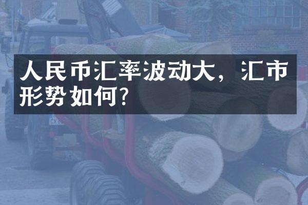 人民币汇率波动大，汇市形势如何？