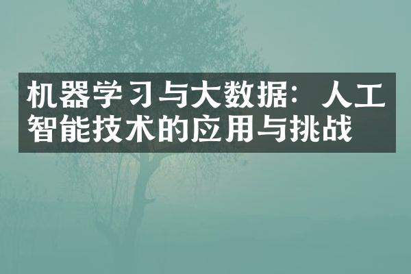 机器学习与大数据：人工智能技术的应用与挑战