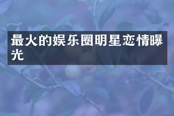 最火的娱乐圈明星恋情曝光