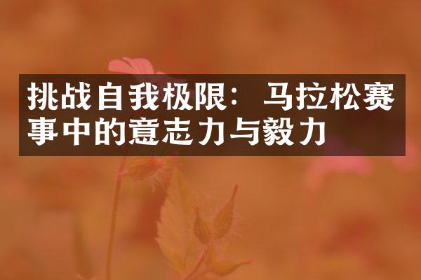 挑战自我极限：马拉松赛事中的意志力与毅力