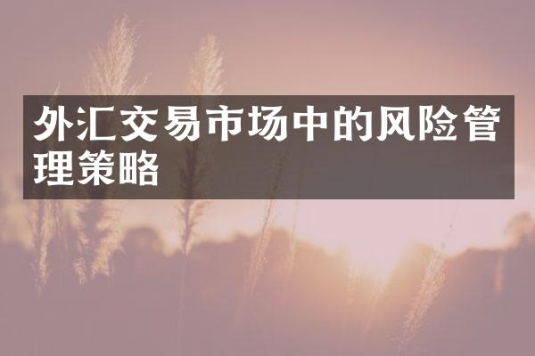 外汇交易市场中的风险管理策略