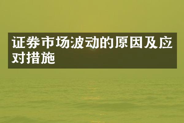 证券市场波动的原因及应对措施