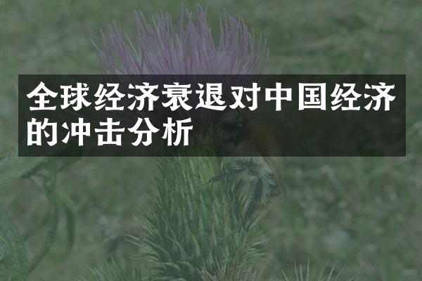 全球经济衰退对中国经济的冲击分析