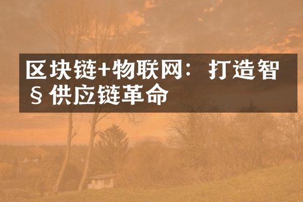 区块链+物联网：打造智慧供应链革命