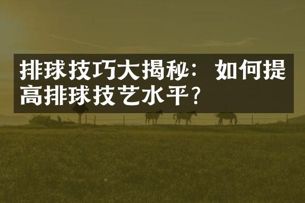 排球技巧大揭秘：如何提高排球技艺水平？