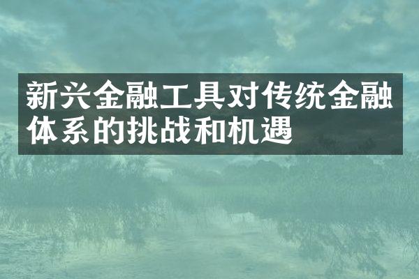 新兴金融工具对传统金融体系的挑战和机遇