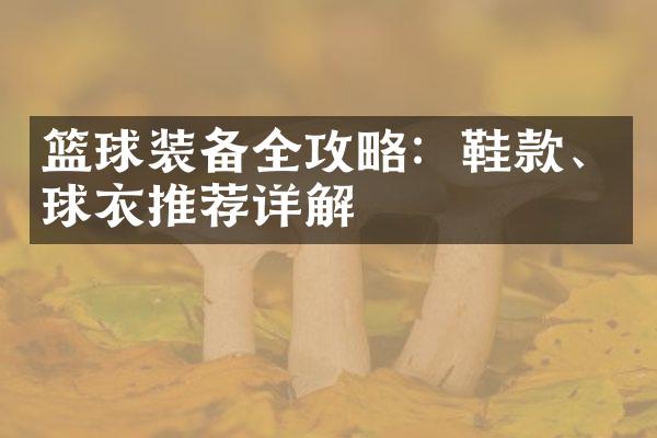 篮球装备全攻略：鞋款、球衣推荐详解