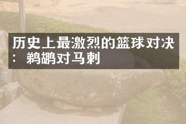 历史上最激烈的篮球对决：鹈鹕对马刺