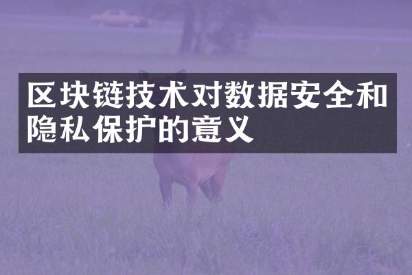 区块链技术对数据安全和隐私保护的意义