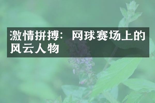 激情拼搏：网球赛场上的风云人物