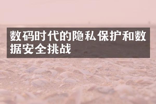 数码时代的隐私保护和数据安全挑战