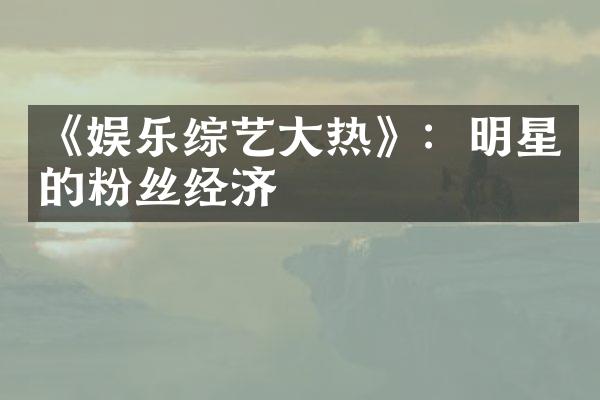 《娱乐综艺大热》：明星的粉丝经济