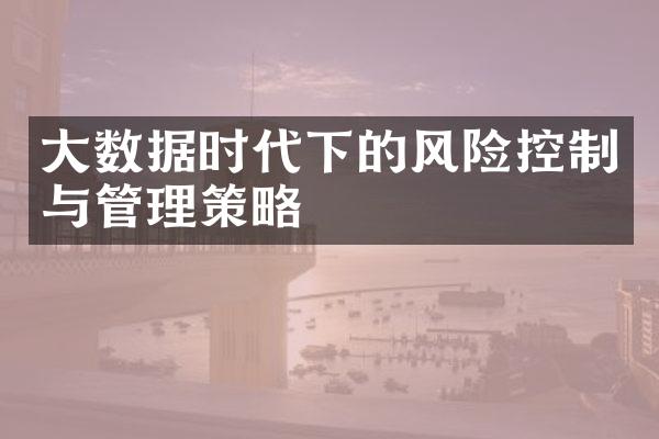 大数据时代下的风险控制与管理策略