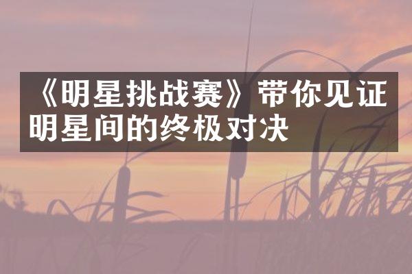 《明星挑战赛》带你见证明星间的终极对决