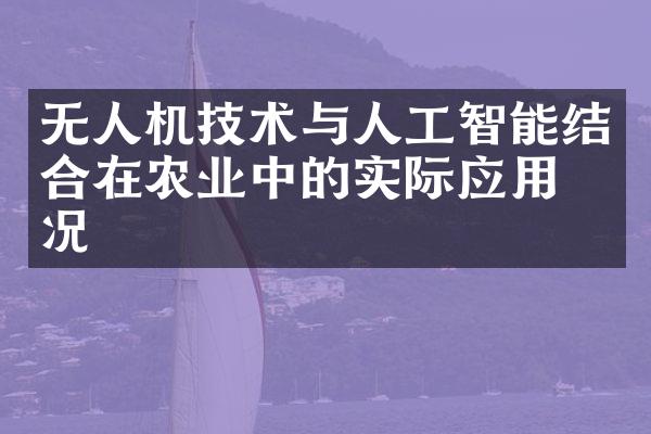 无人机技术与人工智能结合在农业中的实际应用情况