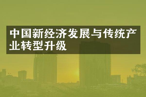 新经济发展与传统产业转型升级