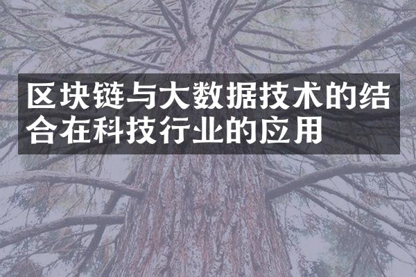 区块链与数据技术的结合在科技行业的应用