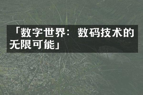 「数字世界：数码技术的无限可能」