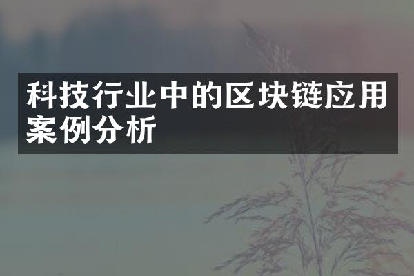 科技行业中的区块链应用案例分析