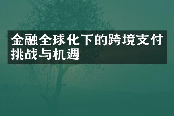 金融全球化下的跨境支付挑战与机遇