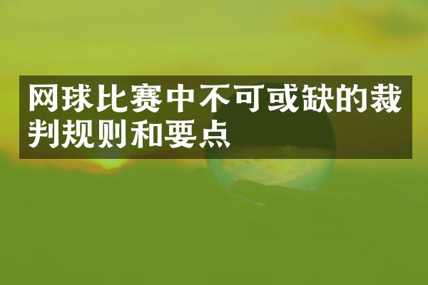 网球比赛中不可或缺的裁判规则和要点