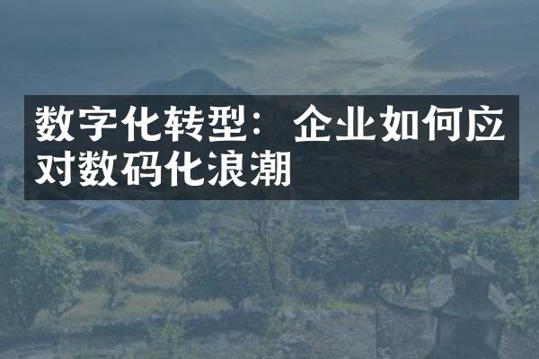 数字化转型：企业如何应对数码化浪潮