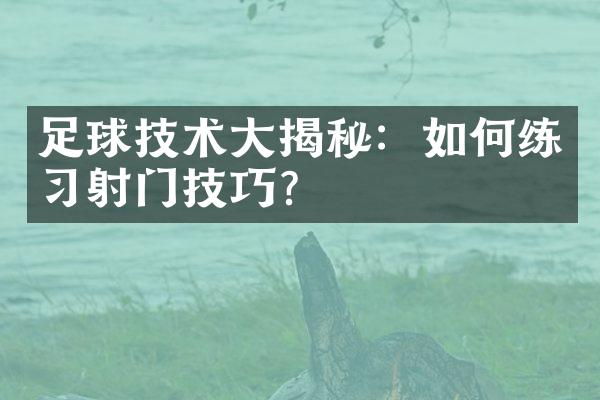 足球技术大揭秘：如何练习射门技巧？