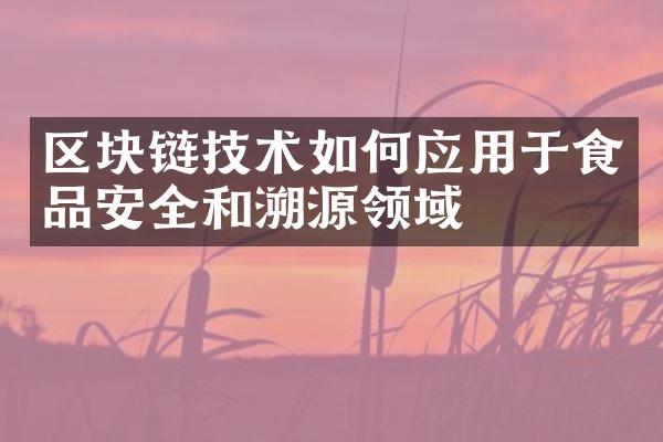 区块链技术如何应用于食品安全和溯源领域