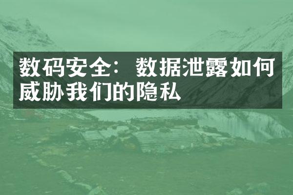 数码安全：数据泄露如何威胁我们的隐私