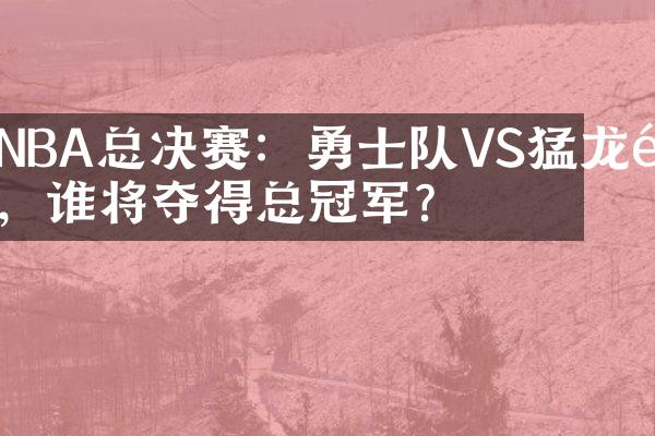 NBA总决赛：勇士队VS猛龙队，谁将夺得总冠军？