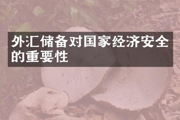 外汇储备对国家经济安全的重要性