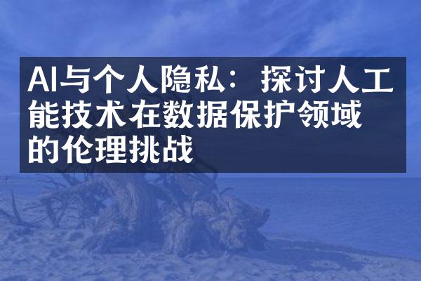 AI与个人隐私：探讨人工智能技术在数据保护领域的挑战