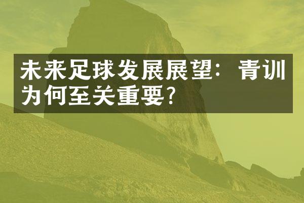 未来足球发展展望：青训为何至关重要？