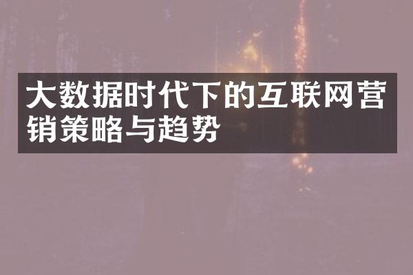 大数据时代下的互联网营销策略与趋势