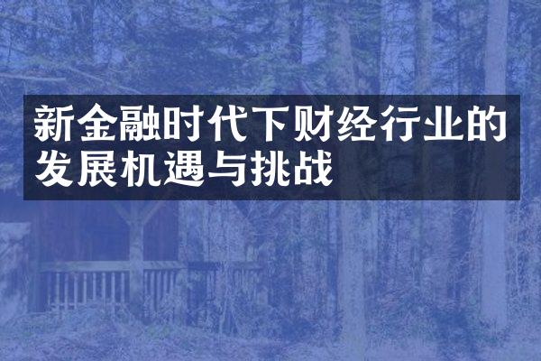 新金融时代下财经行业的发展机遇与挑战