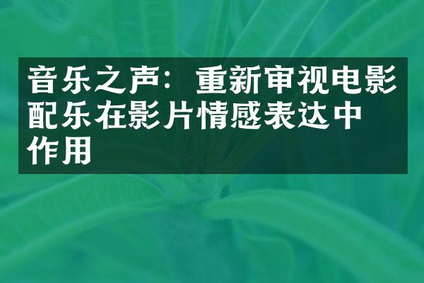 音乐之声：重新审视电影配乐在影片情感表达中的作用