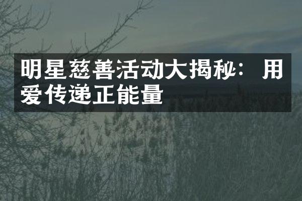 明星慈善活动大揭秘：用爱传递正能量